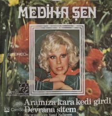 Mediha Şen - Aramıza Kara Kedi Girdi / Devrana Sitem 45'lik