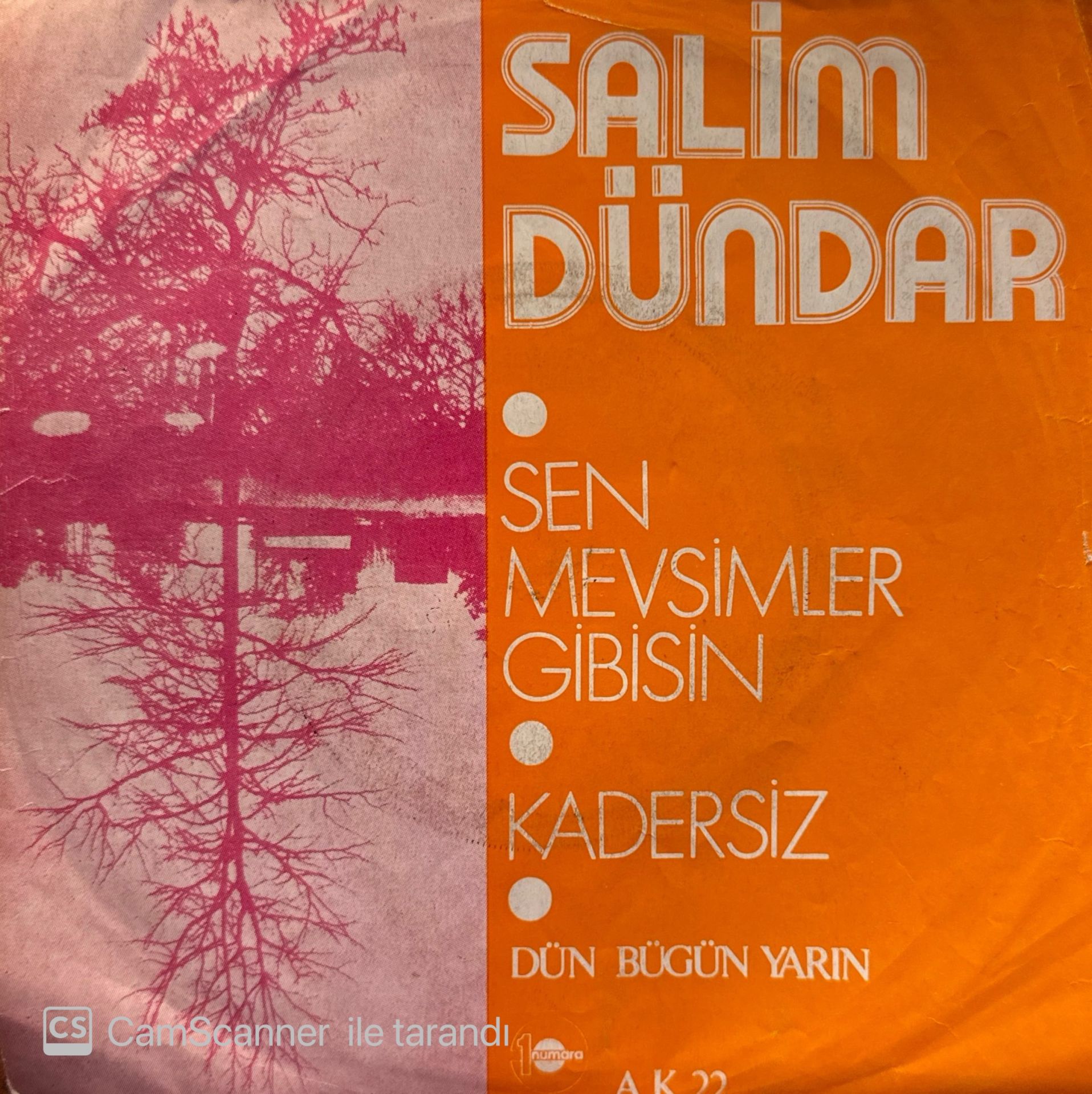 Salim Dündar - Sen Mevsimler Gibisin / Kadersiz 45lik