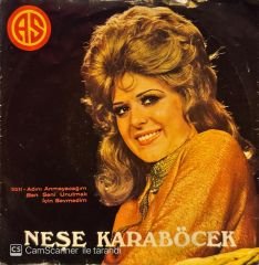 Neşe Karaböcek - Adını Anmayacağım / Ben Seni Unutmak İçin Sevmedim 45'lik