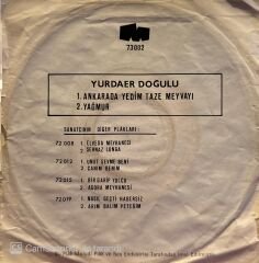 Yurdaer Doğulu - Ankara'da Yedim Taze Meyvayı / Yağmur 45lik