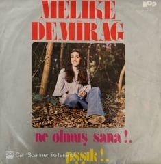 Melike Demirağ - Ne Olmuş Sana / Pşşık 45'lik