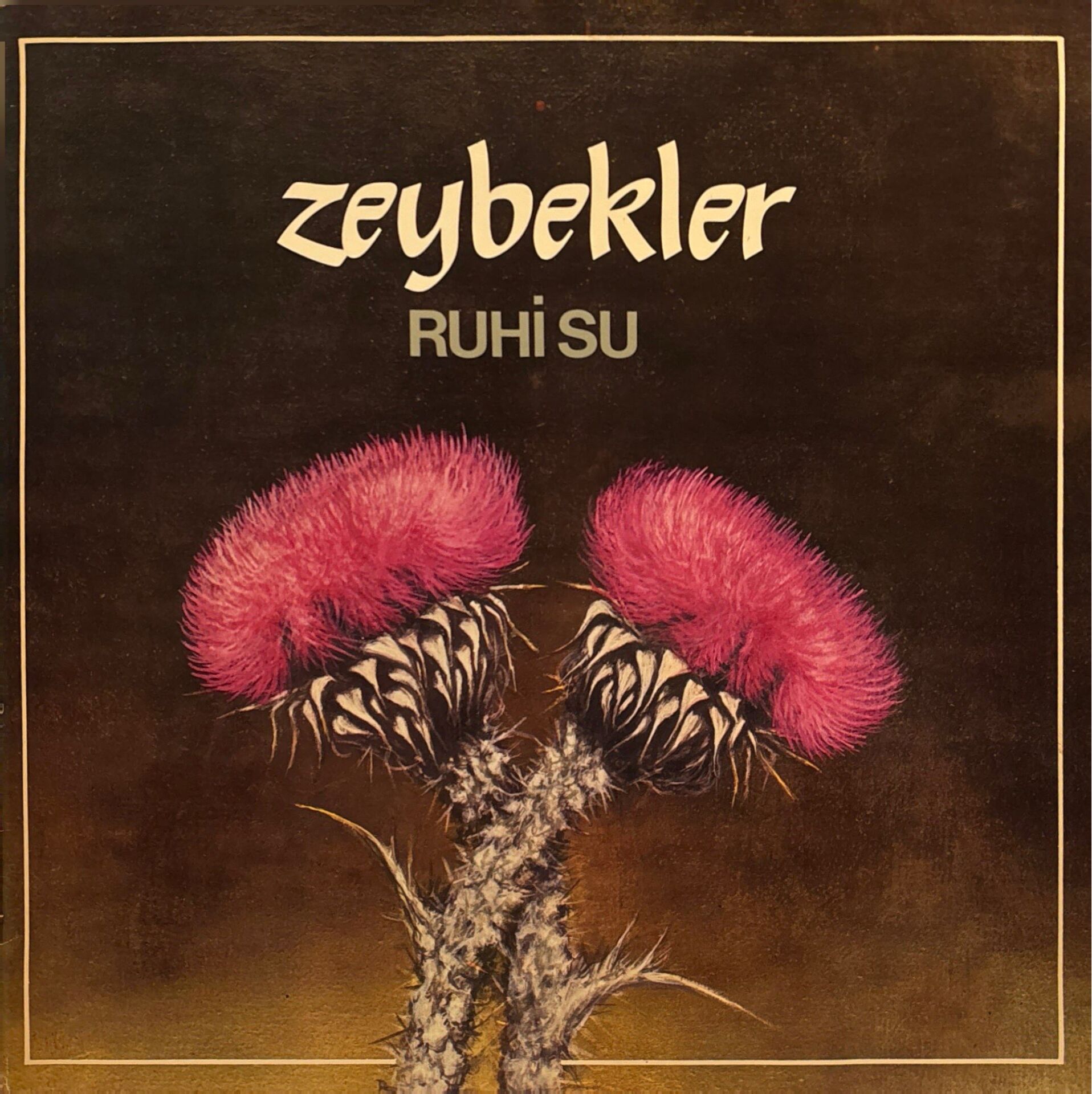 Ruhi Su – Zeybekler LP