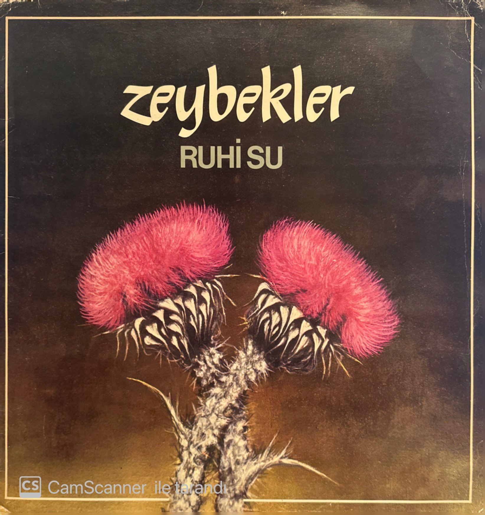 Ruhi Su – Zeybekler LP