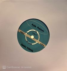 Ajda Pekkan - Olmadı Gitti / Sensiz Yıllarda 45lik