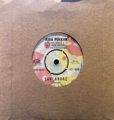 Ajda Pekkan - Oyalama Beni / Saklanmaç 45lik