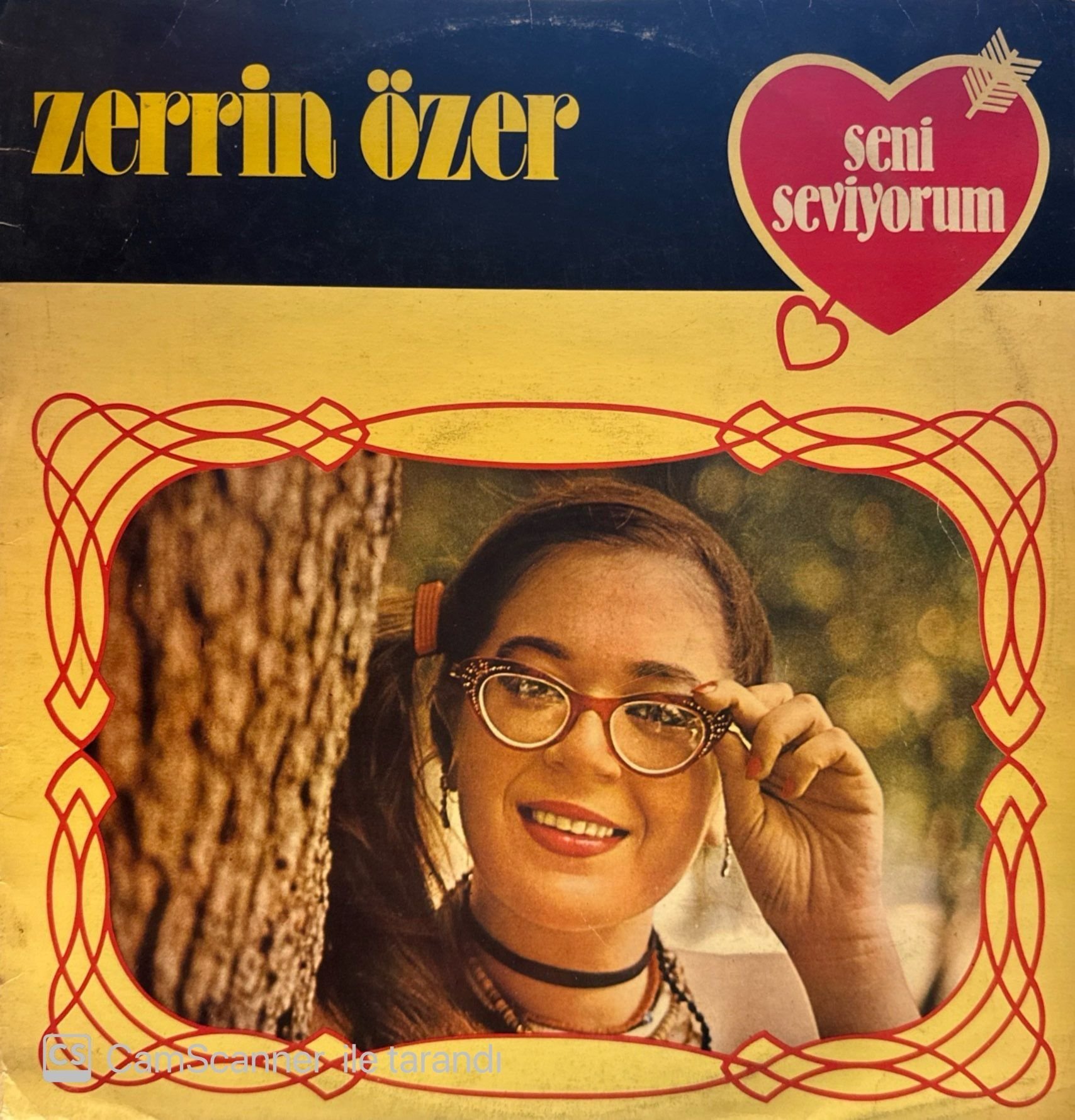 Zerrin Özer – Seni Seviyorum LP