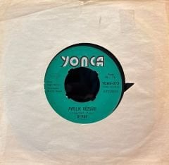 Alpay - Mecnun Derlerdi / Ayrılık Rüzgarı 45lik