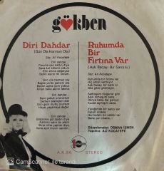 Gökben - Diri Dahdar / Ruhumda Bir Fırtına Var 45'lik
