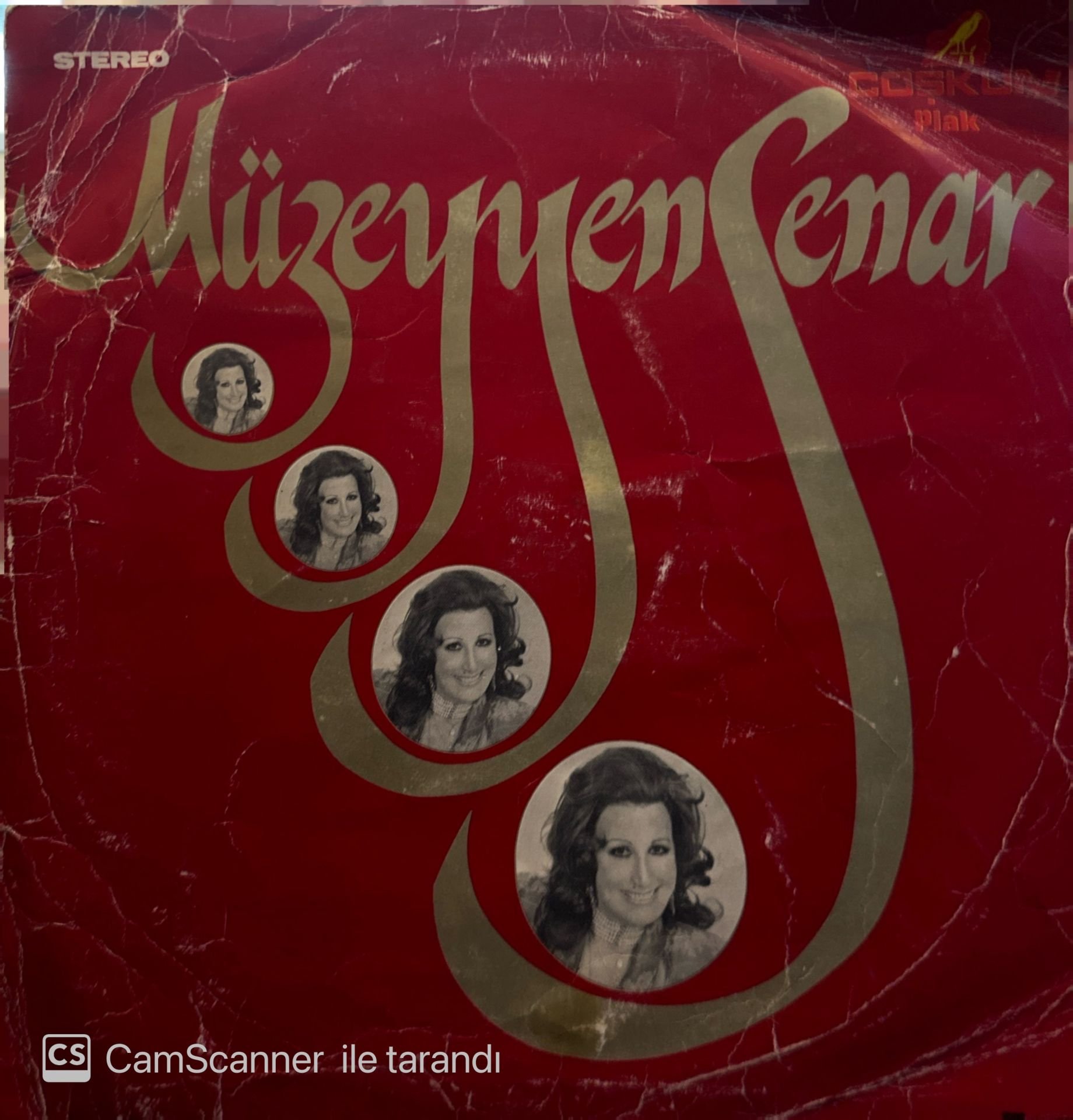 Müzeyyen Senar - Sigaramın Dumanı LP