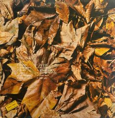 İlhan İrem – Sevgiliye LP