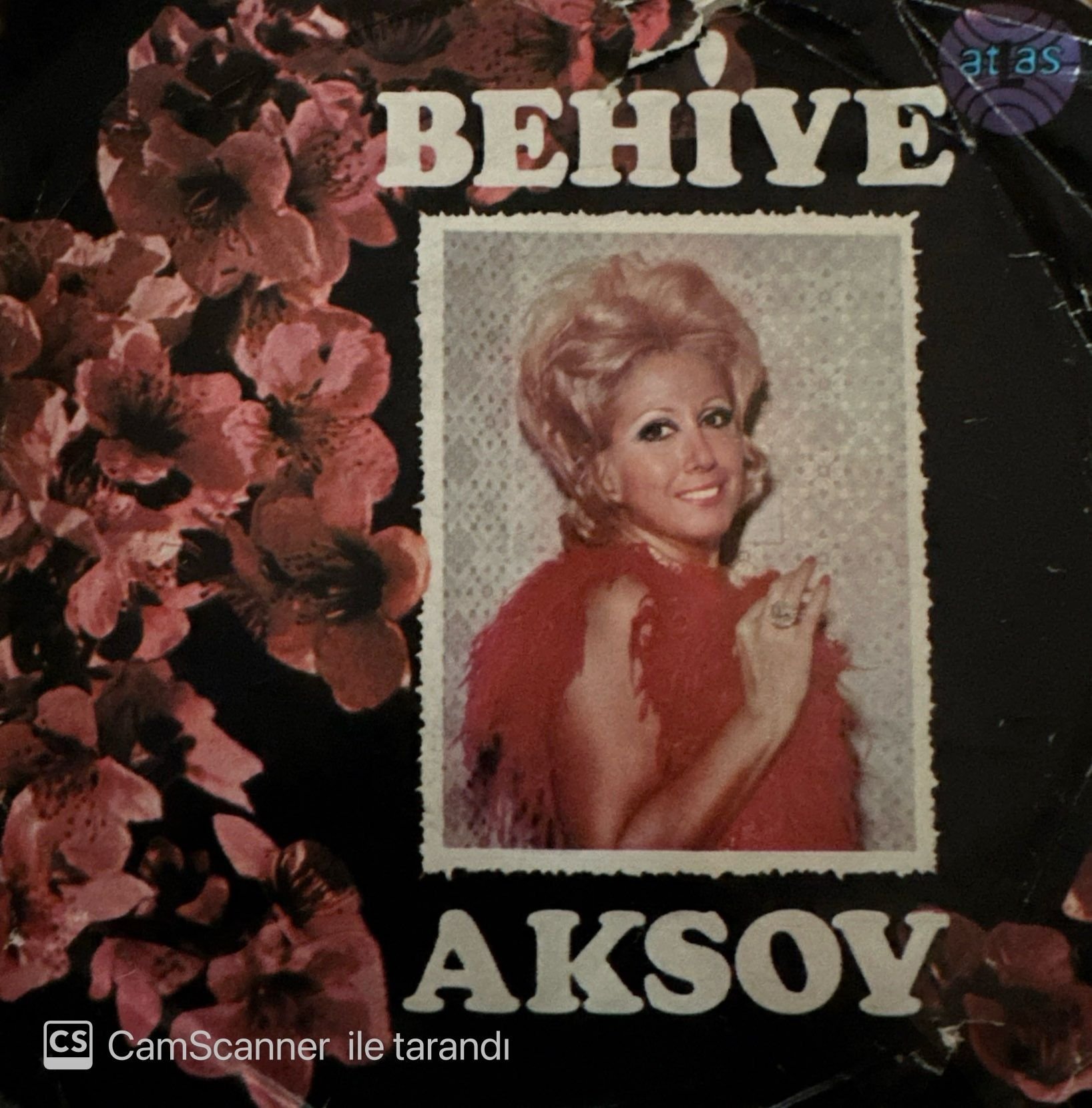 Behiye Aksoy - Kulakların Çınlasın / Sevil de Sevme 45'lik