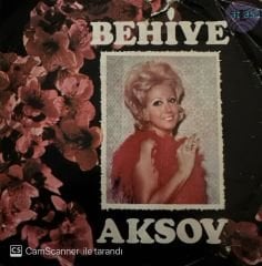 Behiye Aksoy - Kulakların Çınlasın / Sevil de Sevme 45'lik