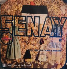 Şenay - Hayat Bayram Olsa / Nen Var Canım Kardeşim 45'lik