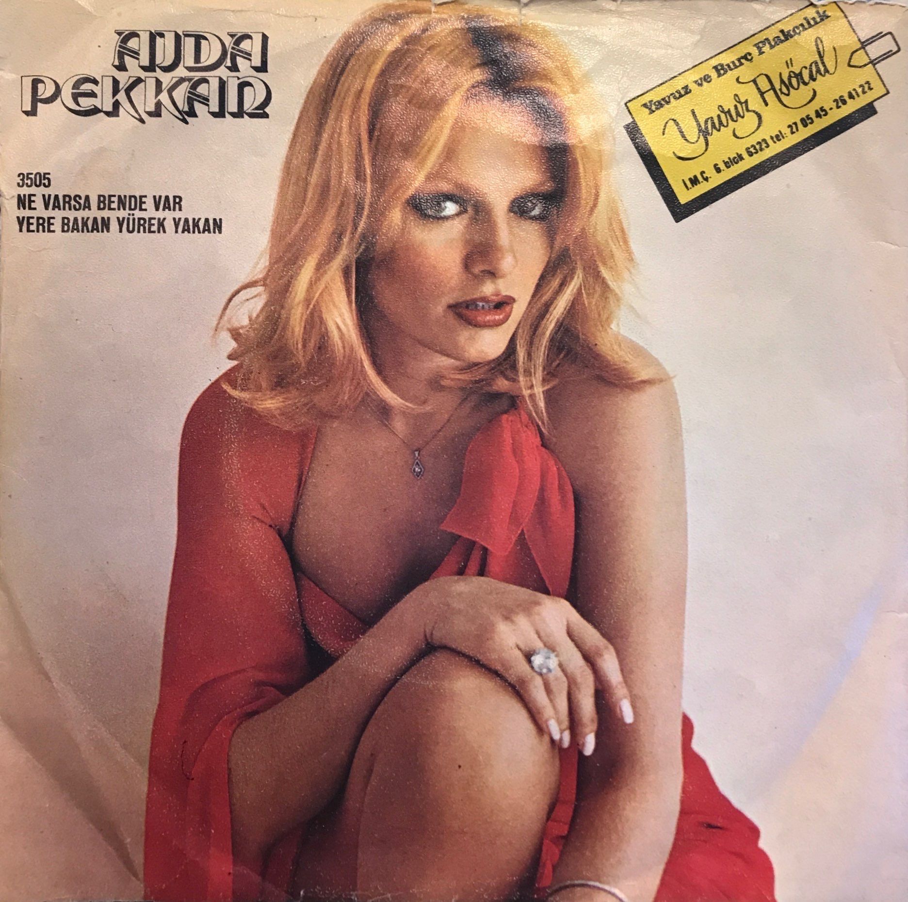 Ajda Pekkan - Ne Varsa Bende Var / Yere Bakan Yürek Yakan 45'lik